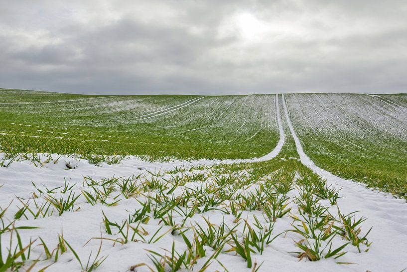 Sneeuw op het veld van Christian Buhtz