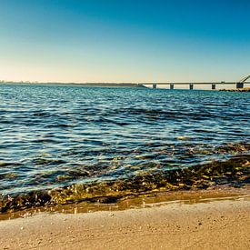 Summer View by Thomas Stübben