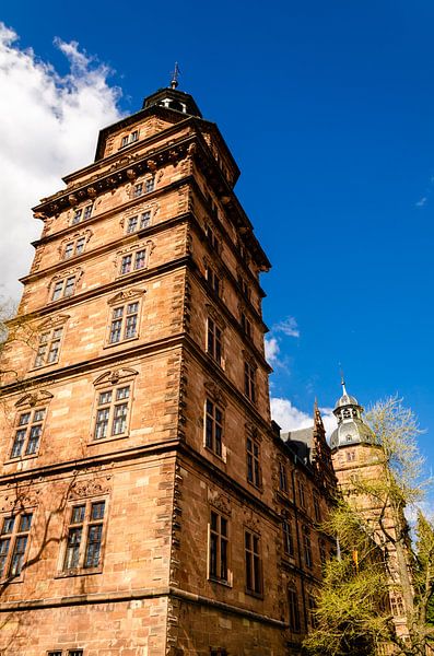 Schloss Johannisburg in Aschaffenburg von Dieter Walther