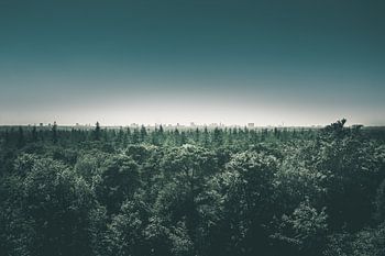 Skyline von Utrecht in der Ferne von der Austerlitz Pyramide aus
