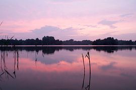 The Song of Purple Summer