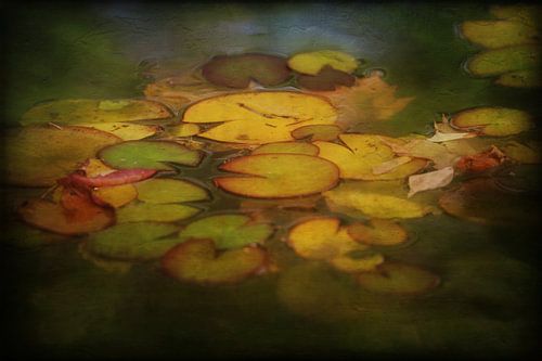 Fotografie und Malerei Stillleben