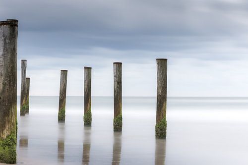 Palendorp Petten