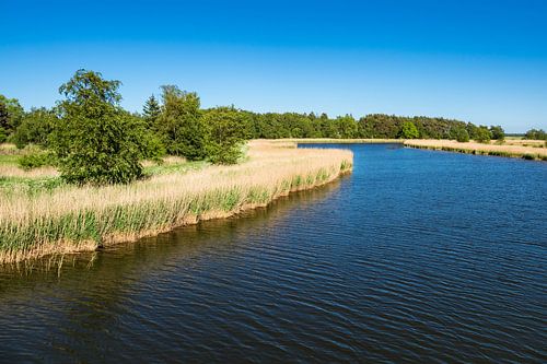 Blick auf den  Prerowstrom in Prerow