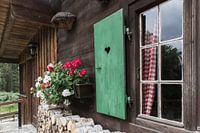 Fenster mit Geranien