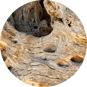 Als ze No.IV konden vertellen van Andreas Wemmje