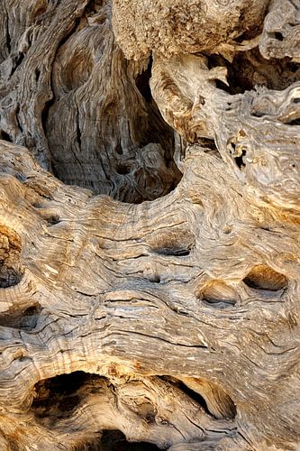 Als ze No.IV konden vertellen