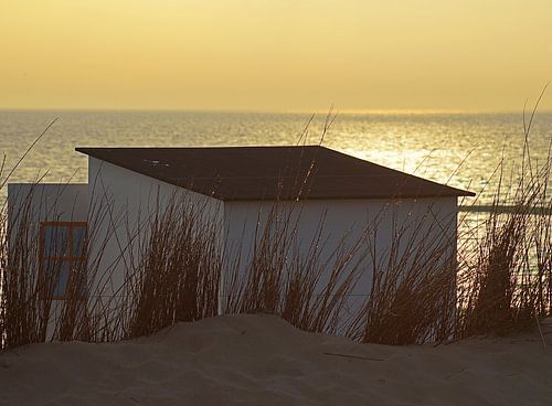 Texel, strandhuisje 
