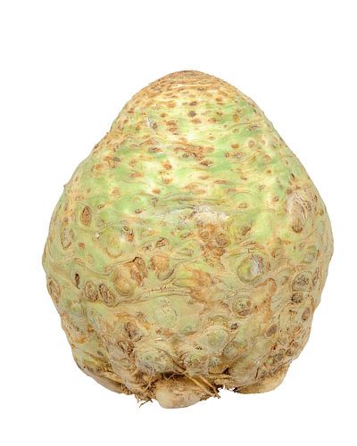 Echte selderij op een witte achtergrond