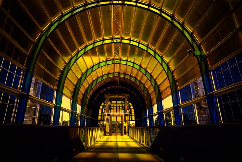 Nelson Mandelabrug, Zoetermeer by Bart van Dam
