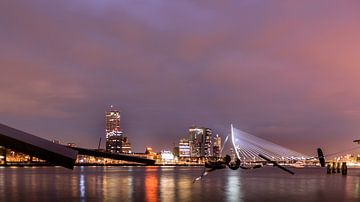 Rotterdam bij nacht van Dick van der Wilt