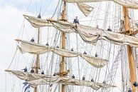 MIR Tall Ship met bemanning op de zeilen van Renzo Gerritsen thumbnail