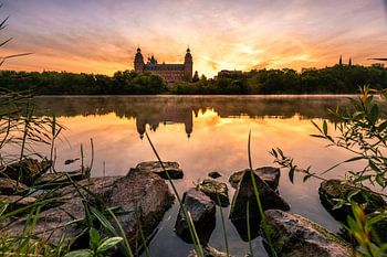 Das Schloss Johannesburg in Aschaffenburg