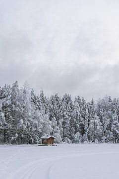 Kleine Holzhütte auf einem zugefrorenen See in Finnland | Winter in Finnisch-Lappland