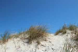 Dünensommer