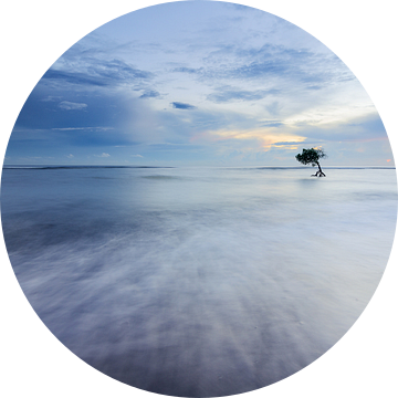 Eenzaam boompje in de zee in Bali van Jos Pannekoek