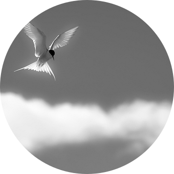 Engelen boven de wolken