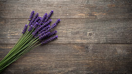 Lavendel auf Holzhintergrund von Bo Valentino