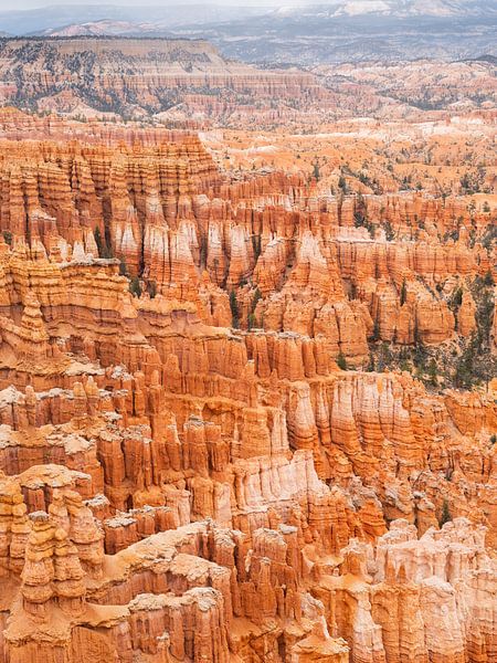 Bryce Canyon by Arnold van Wijk