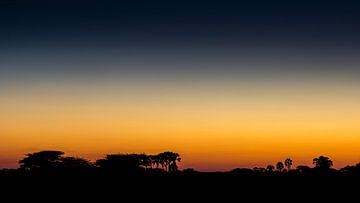 Kleurrijke zonsondergang van Steven Driesen