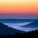 The Black Forest, Germany by Marieke Feenstra thumbnail