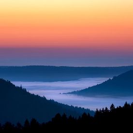 The Black Forest, Germany by Marieke Feenstra