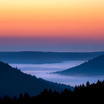 Der Schwarzwald, Deutschland von Marieke Feenstra