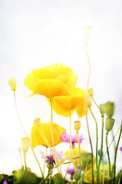 Gelbe Mohnblumen van Markus Wegner