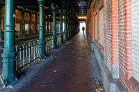 Harrlem, tunnel