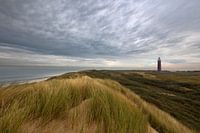 Meer, Dünen und West Head Leuchtturm