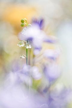 Bright flowers van Bob Daalder