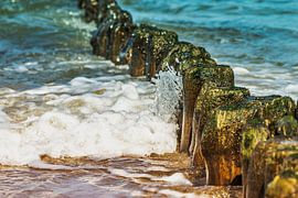 Buhnen am Strand der Ostsee
