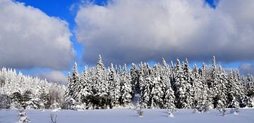The top of the snow-capped mountain by Claude Laprise