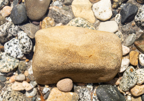 a natural abstract #2