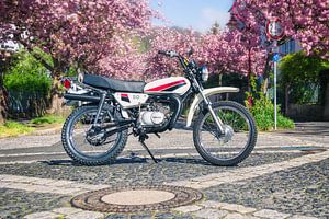 Yamaha DT 50 mit japanischen Kirschblüten im Frühling
