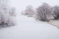 Winter in Amsterdamse Bos
