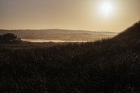 Vögel fliegen über stimmungsvolle Landschaft Vlieland - Fotodruck