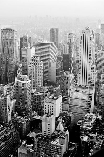 New York City from the top of the Empire State by Carolina Reina Photography