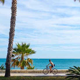 Palmbomen, blauwe lucht en zee. Fietser op strandboulevard van Gerard van de Werken