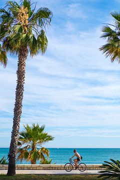 Palmbomen, blauwe lucht en zee. Fietser op strandboulevard van Gerard van de Werken