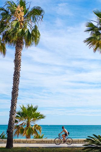 Palmen, blauer Himmel und Meer. Radfahrer auf der Strandpromenade von Gerard van de Werken