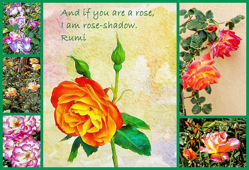 Rose Collage With Quote By Rumi by Dorothy Berry-Lound