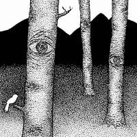 Die Natur schaut zu