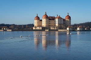 Barockschloss Moritzburg mit Schwänen