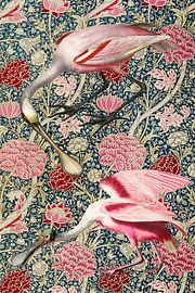 Plumage and Petal