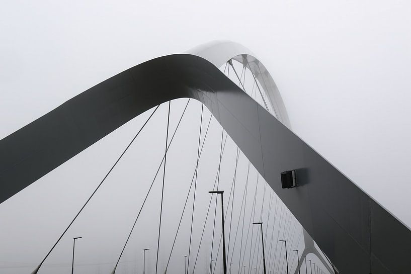 Detail van "De Oversteek" tussen Nijmegen en Lent van Anne Ponsen