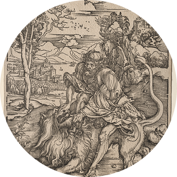 Simson en de leeuw, Albrecht Dürer van De Canon