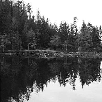 Lac des Corbeaux, Monochrome Reflexionen von Imladris Images