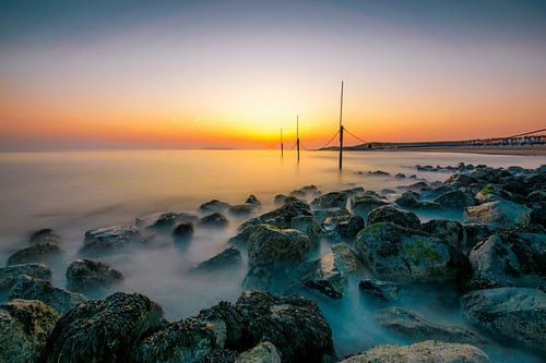 si vous êtes venu par ici sur Thom Brouwer