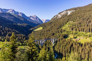 De Rhätische Bahn op het Langwieserviaduct in Zwitserland van Werner Dieterich